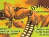 barsamiankarta